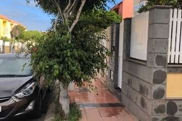 La Hoyeta clama por la poda de sus árboles callejeros (Foto TA)